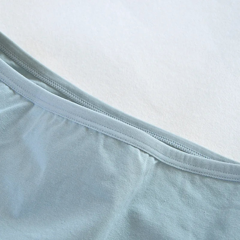 Everyday Essentials Cotton Panty Packs