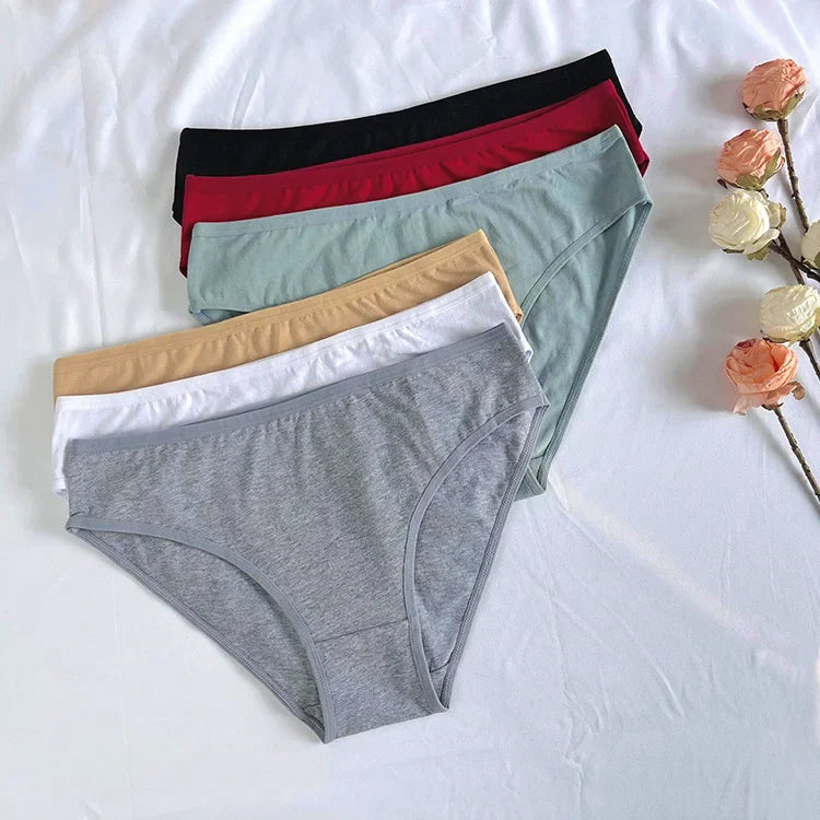 Everyday Essentials Cotton Panty Packs