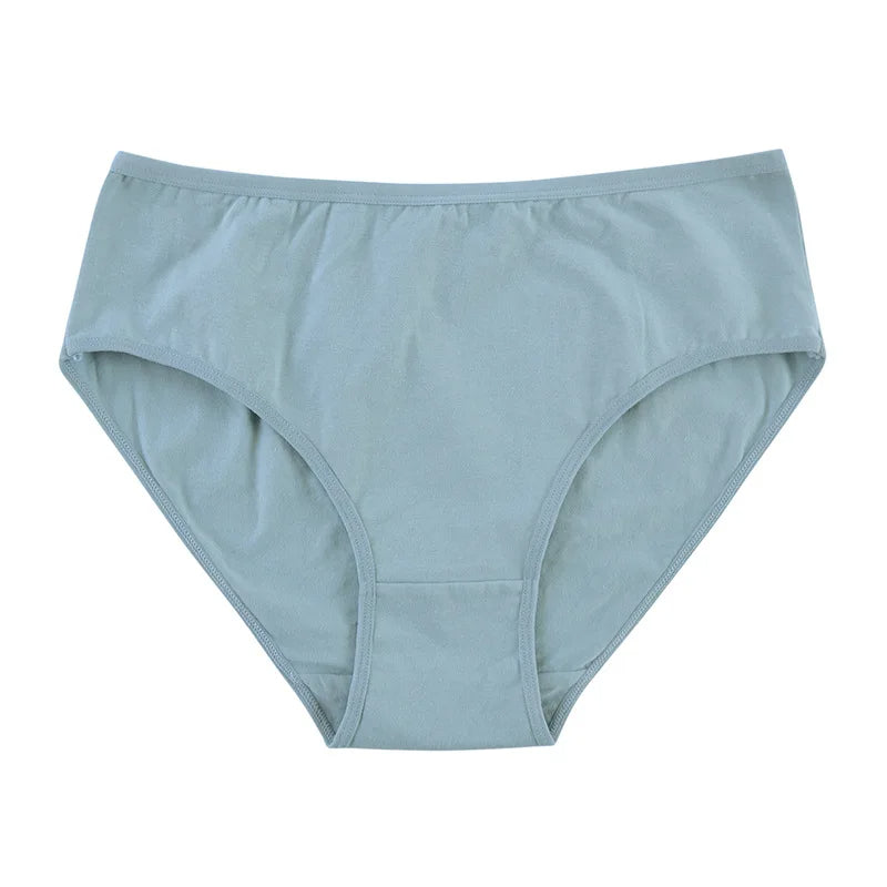 Everyday Essentials Cotton Panty Packs